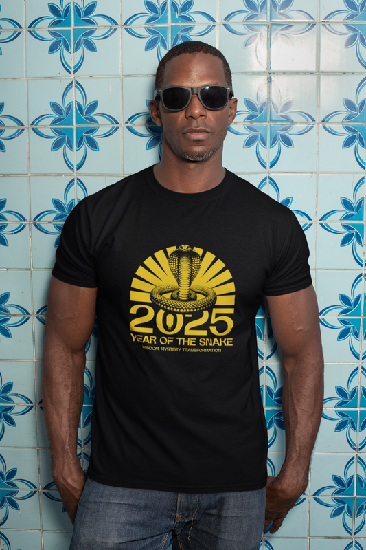 Chinese Zodiac Year of Snake Completion Unisex Tee, Snake Year Graphic T-Shirt, Zodiac Tee Shirt, Lunar New Year Top, Animal Lover Gift